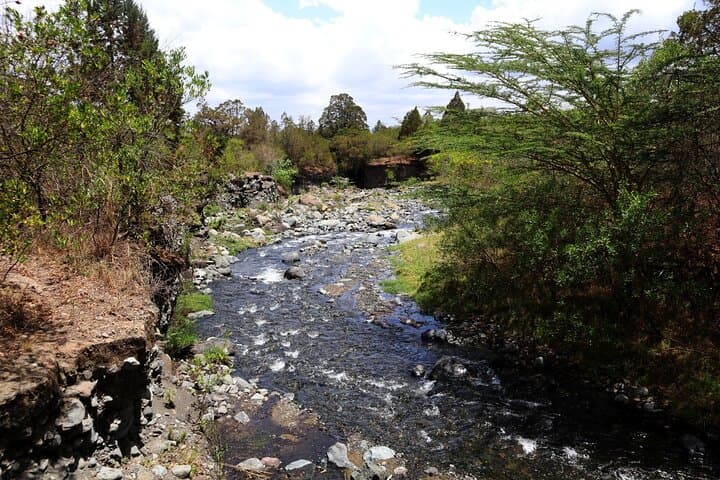 Arusha National Park Day Safari: Game Drive, Walking & Canoe Options photo 4