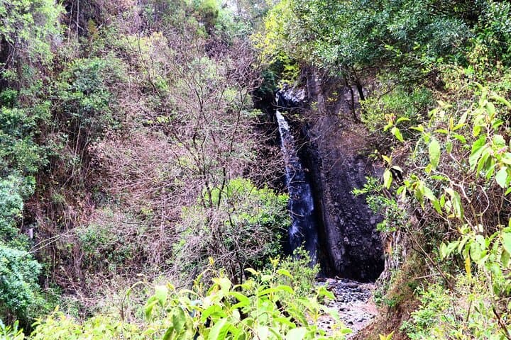 Arusha National Park Day Safari: Game Drive, Walking & Canoe Options photo 6