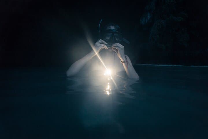Night Snorkel at Turtle Town Maui: Underwater Lights, Turtles & Coral at Dusk photo 5