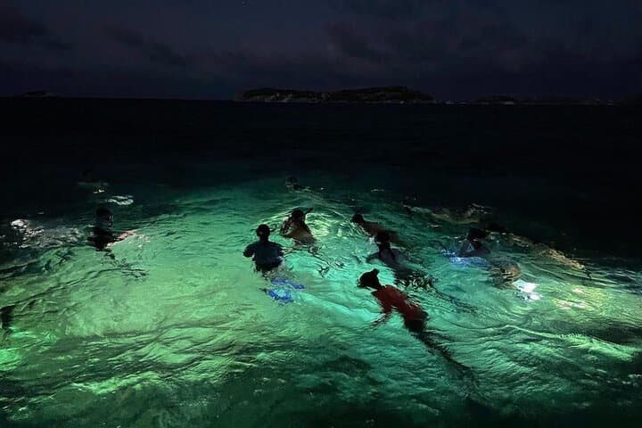 Night Snorkel at Turtle Town Maui: Underwater Lights, Turtles & Coral at Dusk photo 2
