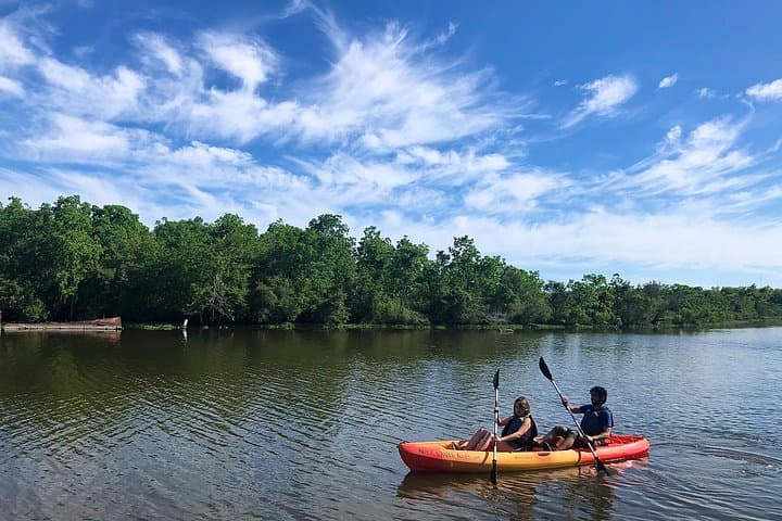 Self-Guided Kayak Bayou Bienvenue — Swamp Paddling Near New Orleans