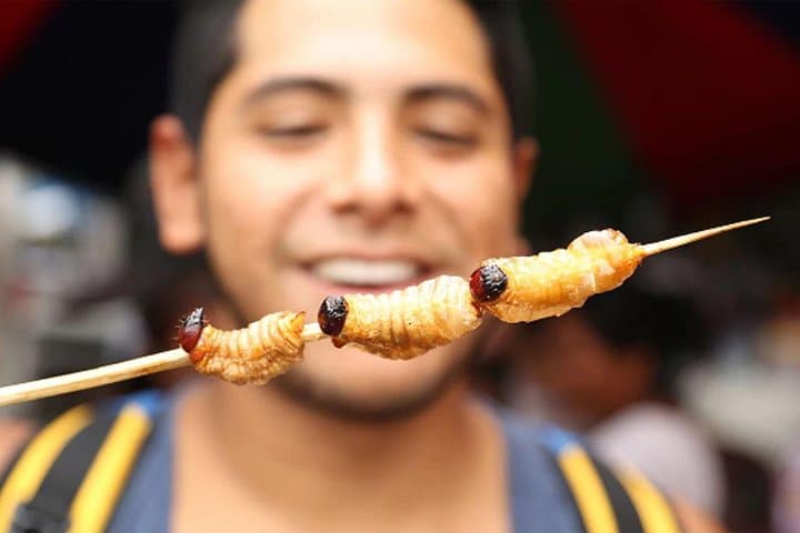 Bizarre Foods Tour in Magdalena, Lima — Cuy, Piranha & Market Walks