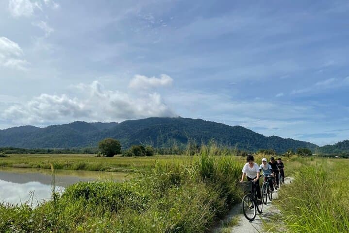 Countryside Biking Tour in Langkawi: Paddy Fields, Waterfalls & Local Flavors photo 4