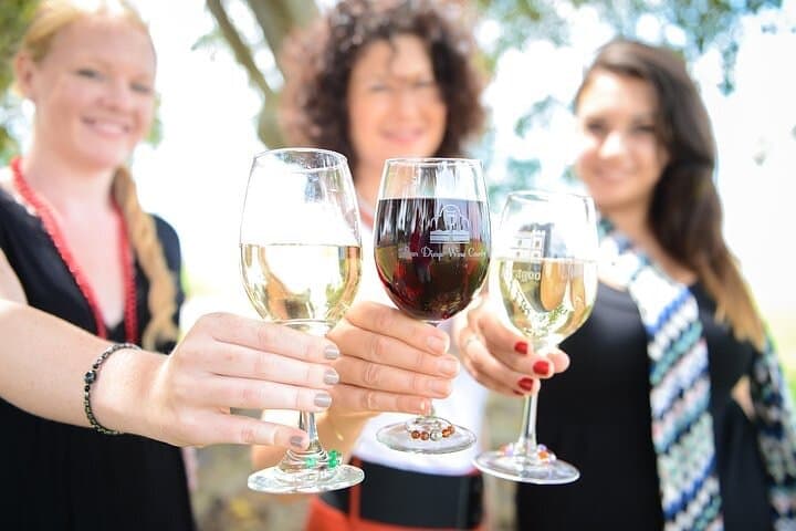 Chauffeured Vineyard Adventure in San Diego Wine Country: A Relaxed Day of Tastings and Local Flavor