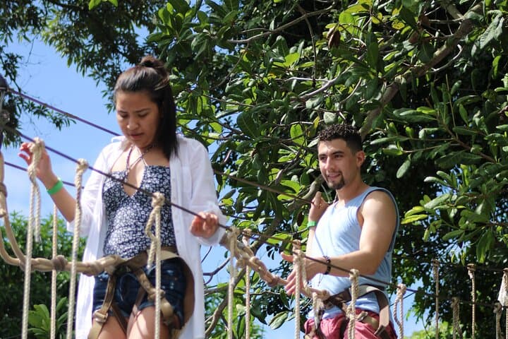 Roatan Half-Day Zipline, Suspension Bridges & Beach Wildlife Tour