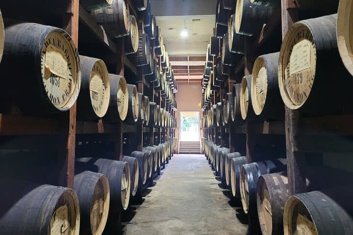 Barrilito Rum Factory Tour from San Juan — Hacienda Santa Ana Guided Visit