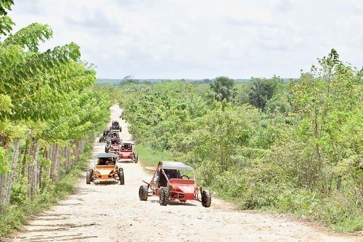 Thrilling Macao Buggies Adventure - Explore Punta Cana’s Wild Side photo 3