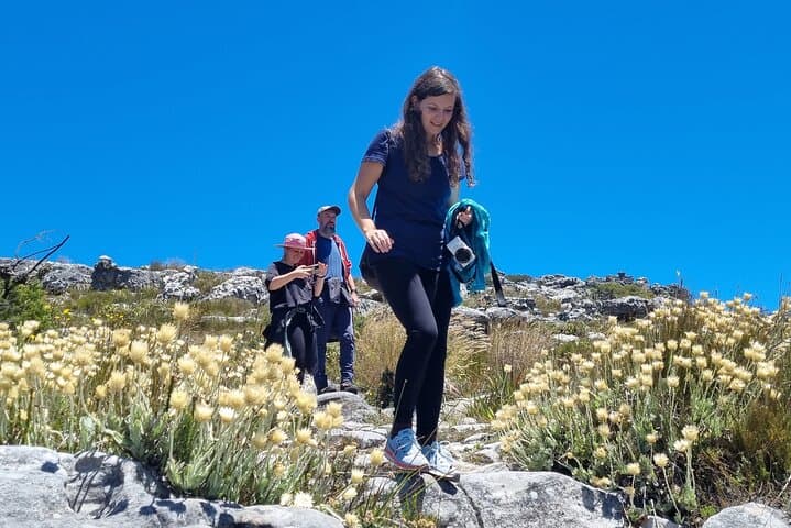 Best of Table Mountain: Full-Day Guided Hike to Maclear’s Beacon and the Diving Board