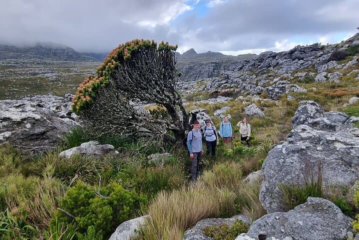 Best of Table Mountain: Full-Day Guided Hike to Maclear’s Beacon and the Diving Board photo 2