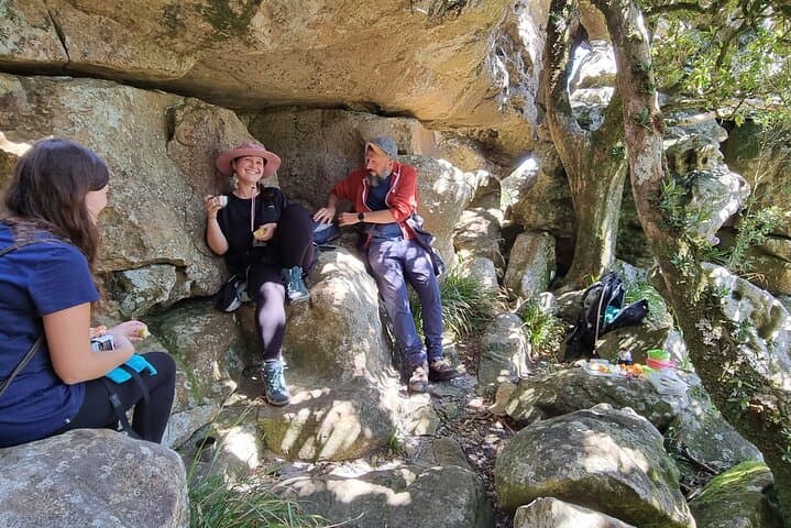 Best of Table Mountain: Full-Day Guided Hike to Maclear’s Beacon and the Diving Board photo 3