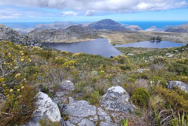 Best of Table Mountain: Full-Day Guided Hike to Maclear’s Beacon and the Diving Board photo 5