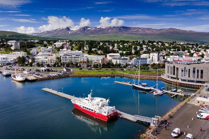 Godafoss Waterfall and Forest Lagoon from Akureyri Port — North Iceland Day Tour photo 3