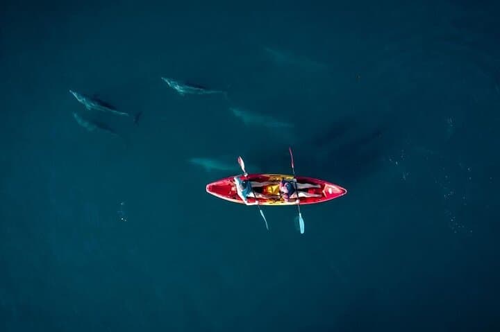 Sunrise Kayak Dolphin Tour in Tamarin Bay, Mauritius — 2-Hour Guided Paddle