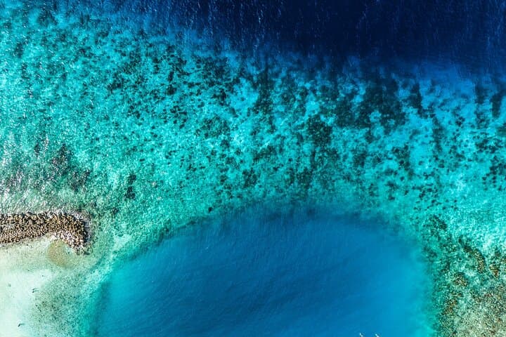 Beginner Scuba in Jan Thiel Bay: Discover Scuba Diving Intro in Curaçao photo 2