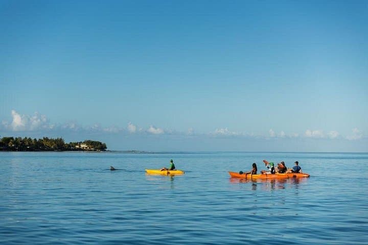 Sunrise Kayak Dolphin Tour in Tamarin Bay, Mauritius — 2-Hour Guided Paddle photo 4