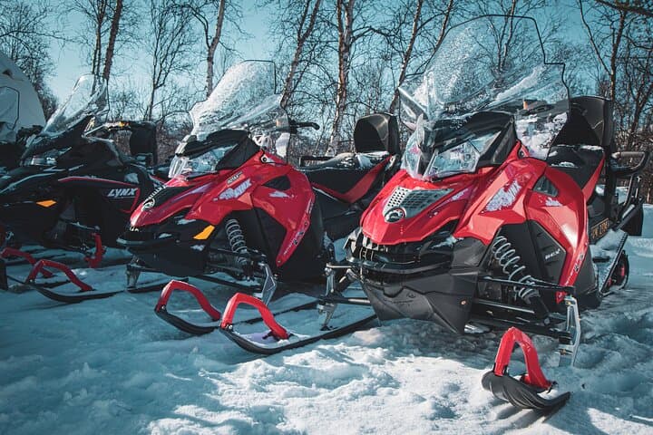 Explore Finnmarksvidda: A 4-Hour Snowmobile Journey Across Arctic Norway photo 2