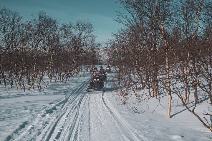 Explore Finnmarksvidda: A 4-Hour Snowmobile Journey Across Arctic Norway