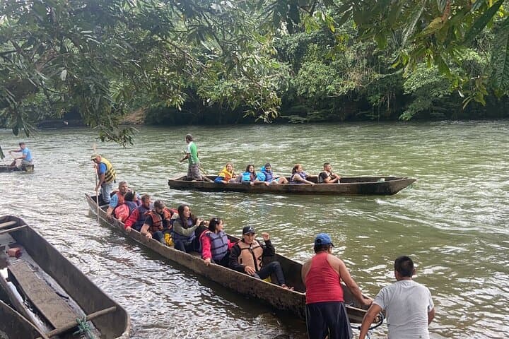 Full-Day Puyopúngo Amazon Excursion: River Sail, Waterfall Swim & Indigenous Culture photo 3