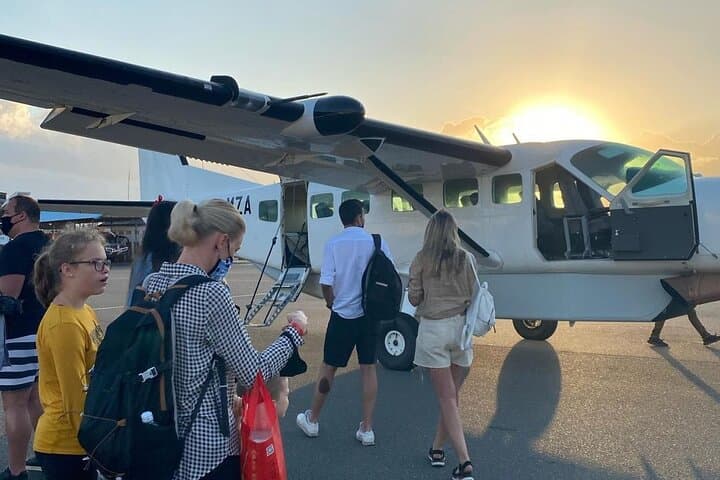 Mikumi by Air: Day-Trip Safari from Zanzibar to Mikumi National Park