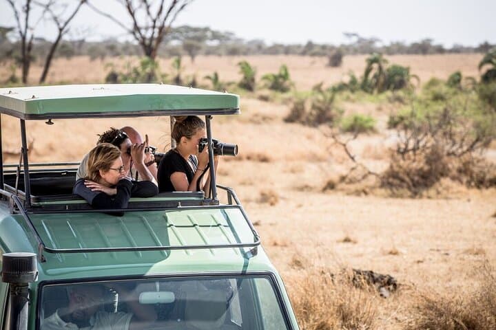 Mikumi by Air: Day-Trip Safari from Zanzibar to Mikumi National Park photo 5