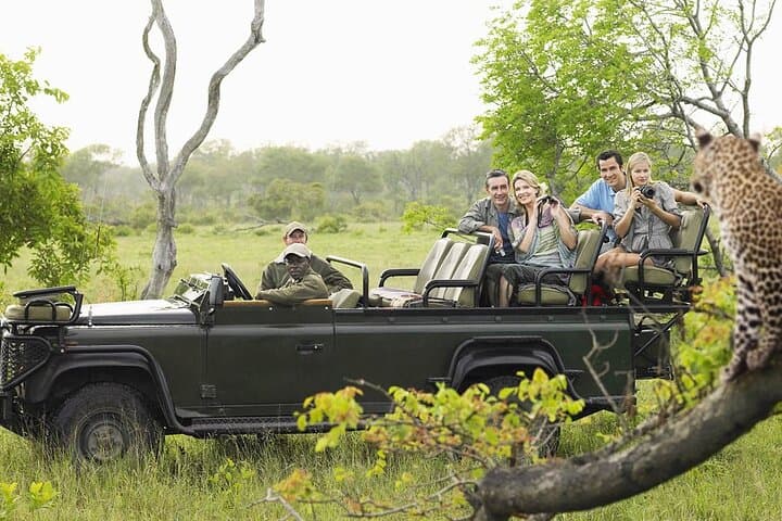 Mikumi by Air: Day-Trip Safari from Zanzibar to Mikumi National Park photo 6
