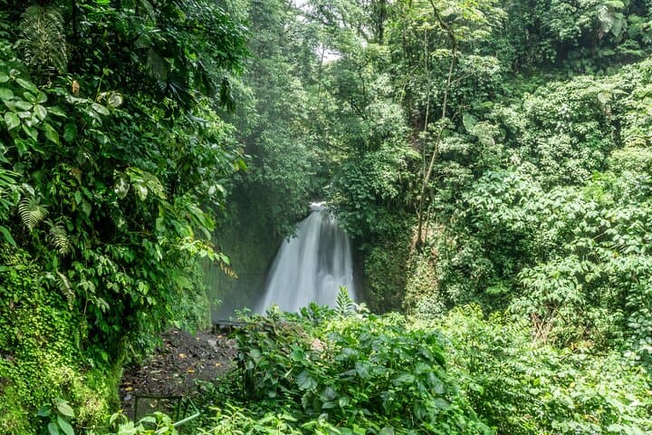 Arenal Observatory Lodge Trails — Day Pass to Arenal Volcano Reserve photo 3