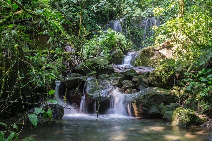 Arenal Observatory Lodge Trails — Day Pass to Arenal Volcano Reserve photo 4