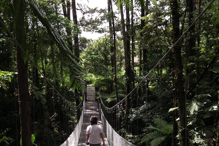 Arenal Observatory Lodge Trails — Day Pass to Arenal Volcano Reserve photo 6