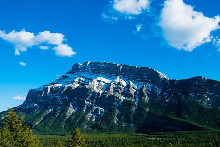 Banff Deep One-Day Tour: Johnston Canyon, Sulphur Mountain & Banff Highlights