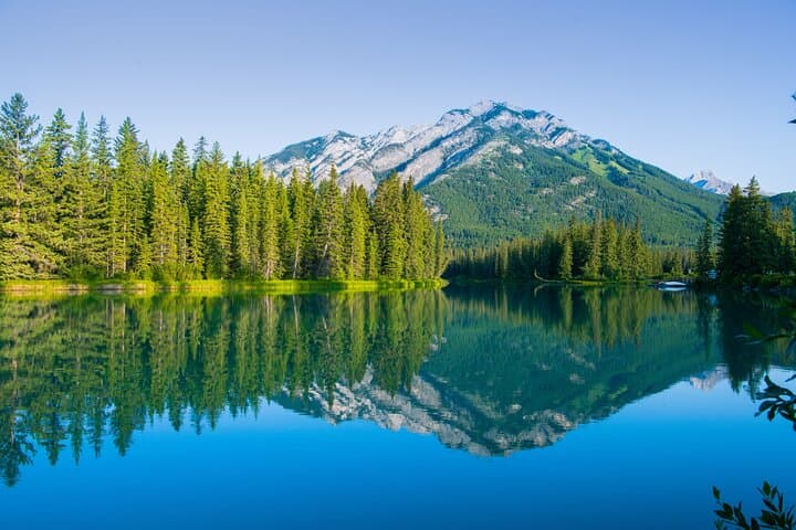 Banff Deep One-Day Tour: Johnston Canyon, Sulphur Mountain & Banff Highlights photo 2