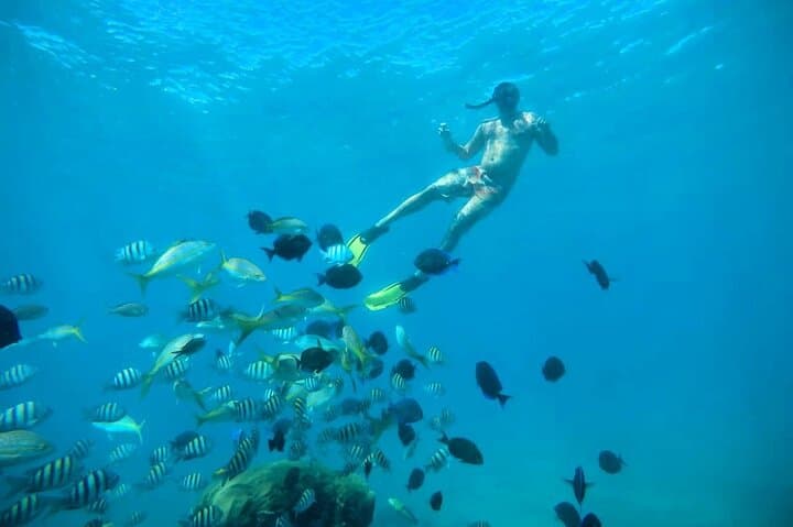 Private VIP Catamaran Party and Snorkel Tour at Sosúa Beach photo 5