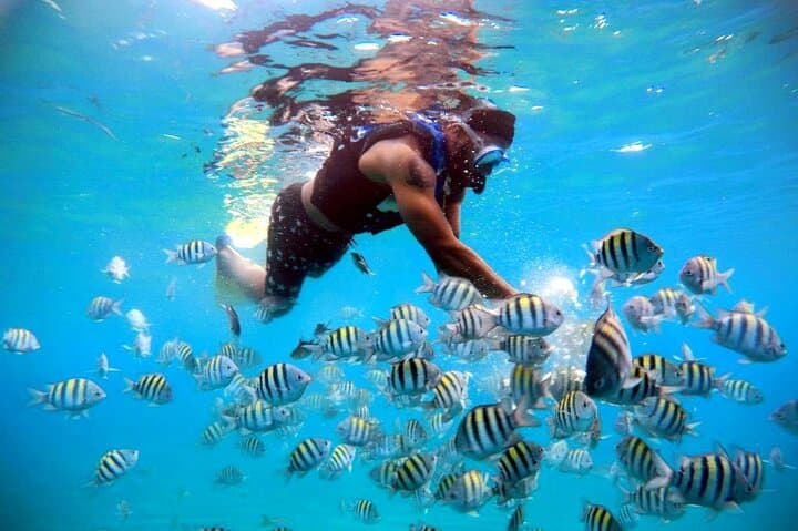 Private VIP Catamaran Party and Snorkel Tour at Sosúa Beach photo 6