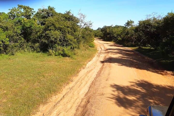 2-Day Ella & Yala Safari: Leopard-Spotting Safari and Little Adam's Peak photo 6