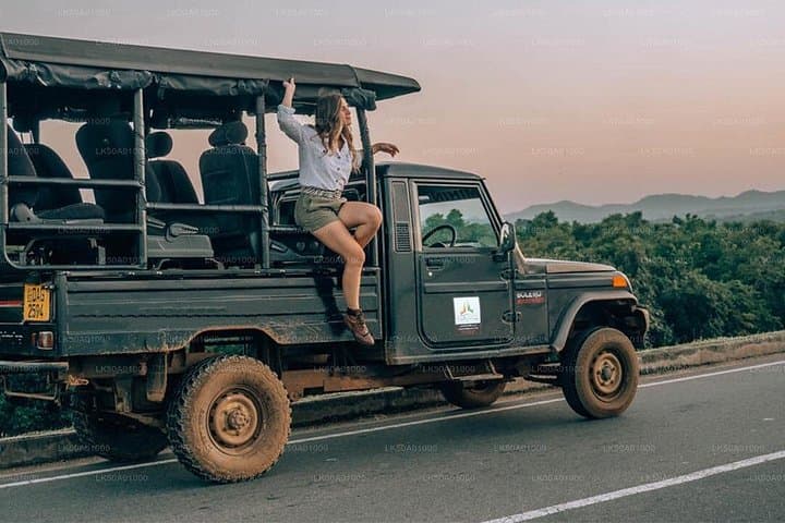 Udawalawe National Park Safari & Elephant Transit Home — Half-Day Wildlife Drive photo 1
