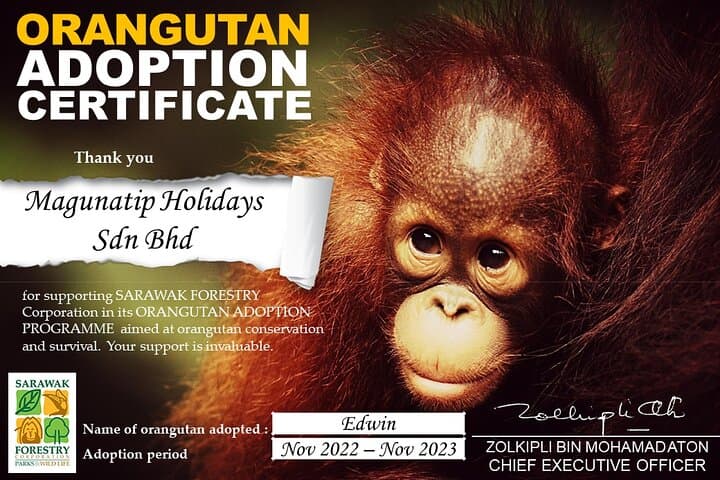 Semenggoh Orangutan Center and Sarawak Sunset River Cruise: Day Trip from Kuching photo 3