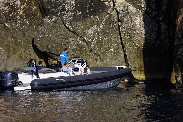 Half-Day Boat Tour to Patroklos, Arsida & Cape Sounio from Athens photo 4