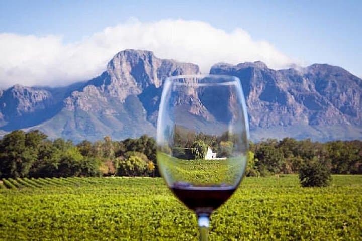 Private Full-Day Cape Town Wine Tasting Tour of the Winelands photo 3