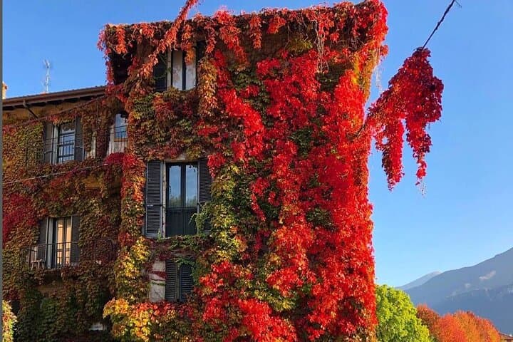 Lake Como & Bellagio Day Trip: Private Boat Cruise from Milan photo 3