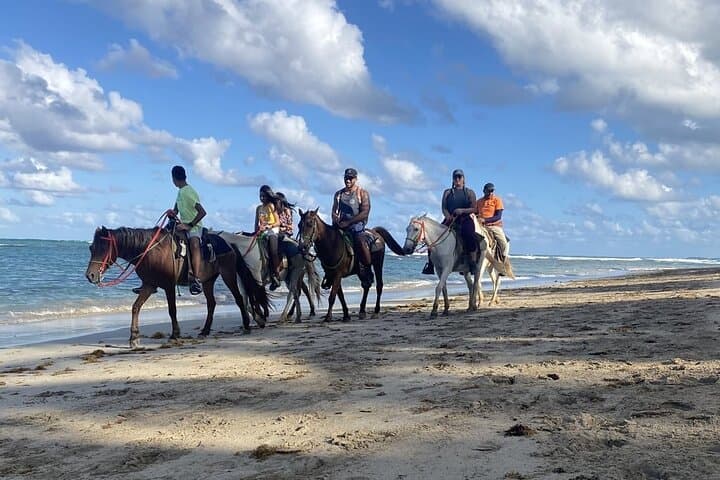 Horseback Ride Through Puerto Plata: Foothills & Beach Tour