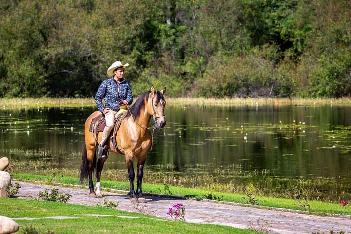 Horseback Ride Through Puerto Plata: Foothills & Beach Tour photo 5