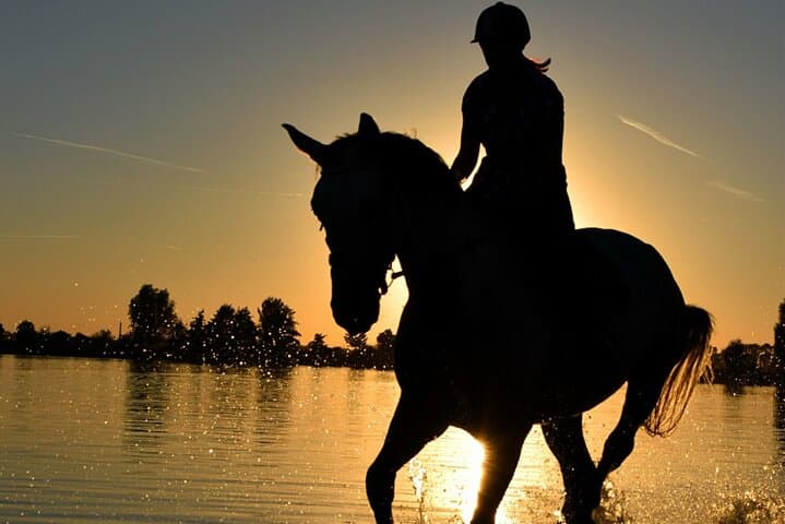 Horseback Ride Through Puerto Plata: Foothills & Beach Tour photo 4