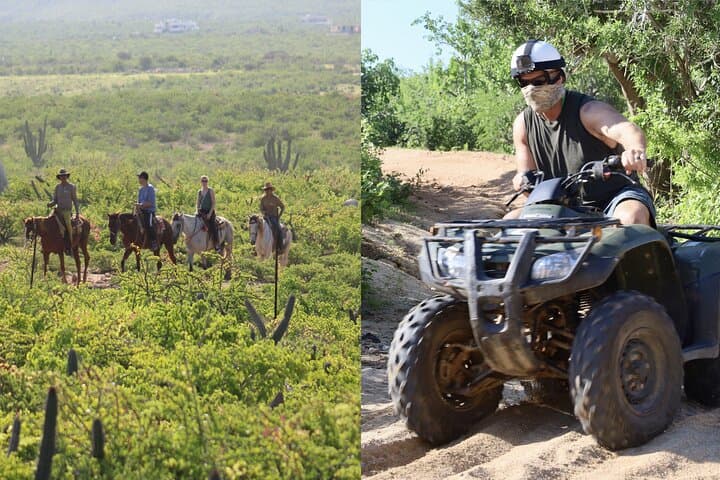 Los Cabos ATV and Pacific Horseback Riding Combo Tour — Ride Desert Trails with Ocean Views photo 2