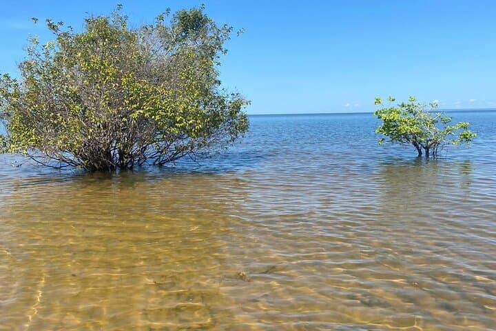 Tapajós River: 8-Day Amazon Expedition with Community Stays photo 2