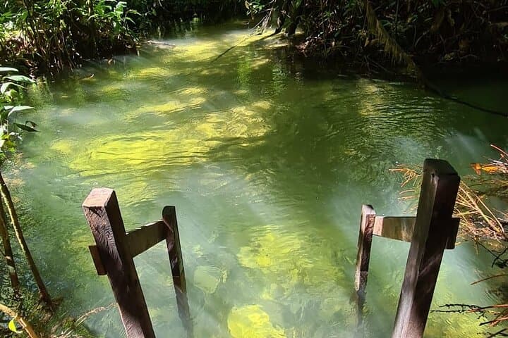 Tapajós River: 8-Day Amazon Expedition with Community Stays photo 4