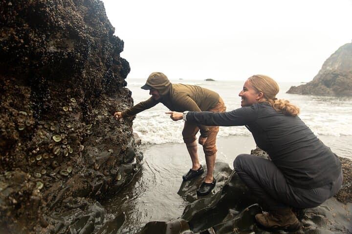 Olympic National Park Full-Day Private Tour & Guided Hike — Hoh Rainforest, Coastal Tidepools, Ancient Cedars photo 3