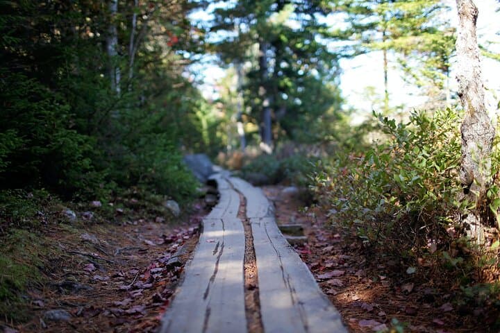 Acadia Full-Day Private Tour & Hike — Thunder Hole, Jordan Pond & Cadillac Views photo 4