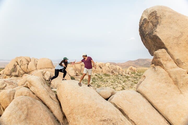 Joshua Tree Full-Day Private Hiking Tour from Palm Springs