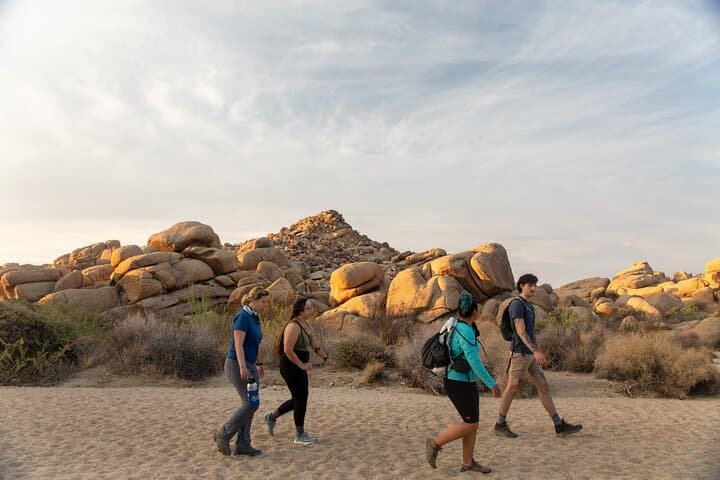 Joshua Tree Full-Day Private Hiking Tour from Palm Springs photo 2