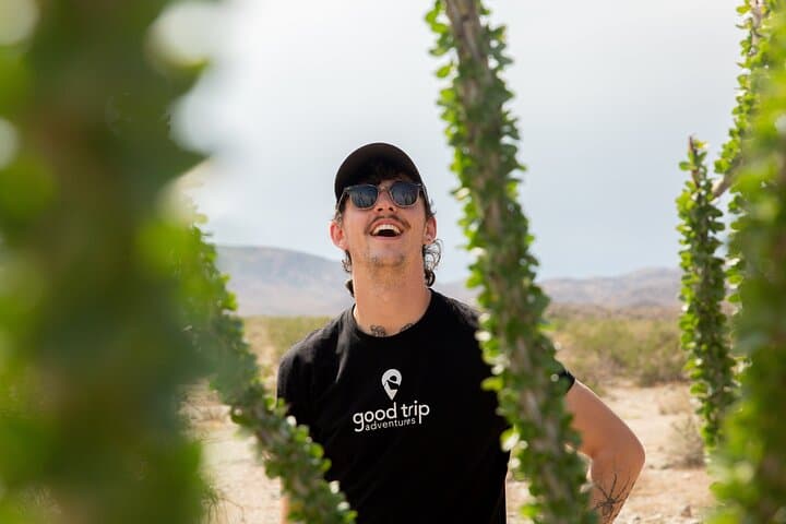 Joshua Tree Full-Day Private Hiking Tour from Palm Springs photo 6