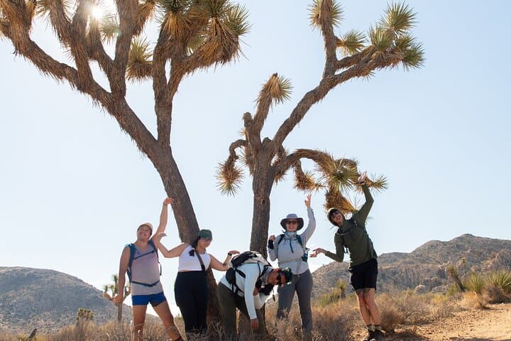 Joshua Tree Full-Day Private Hiking Tour from Palm Springs photo 5